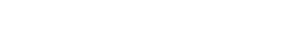 Artist Web Site